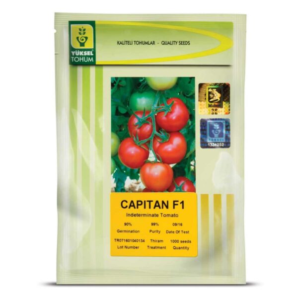 بذر گوجه فرنگی گلخانه ای کاپیتان