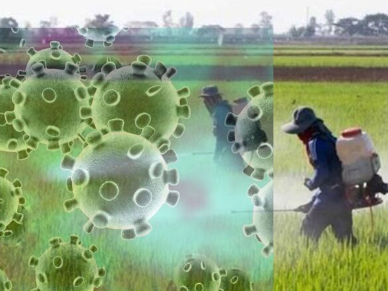ویروس کرونا و اختلالات تولید کود های کشاورزی