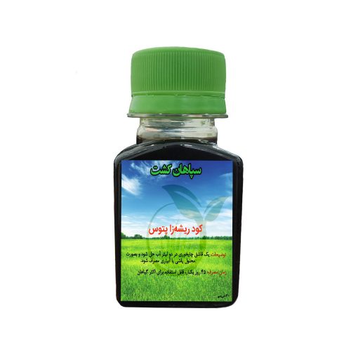 کود ریشه زا پتوس