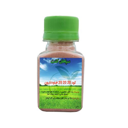 کود سه بیست فیلودندرون