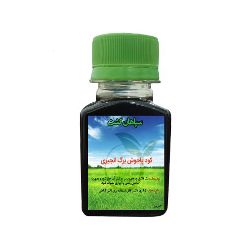 کود پاجوش برگ انجیری