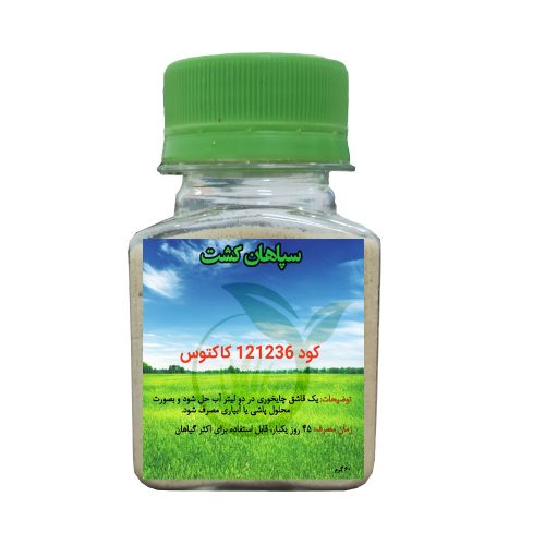 کود 121236 کاکتوس
