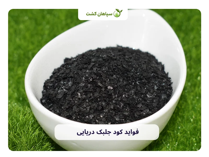 فواید کود جلبک دریایی