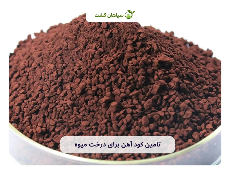 تامین آهن برای درخت میوه