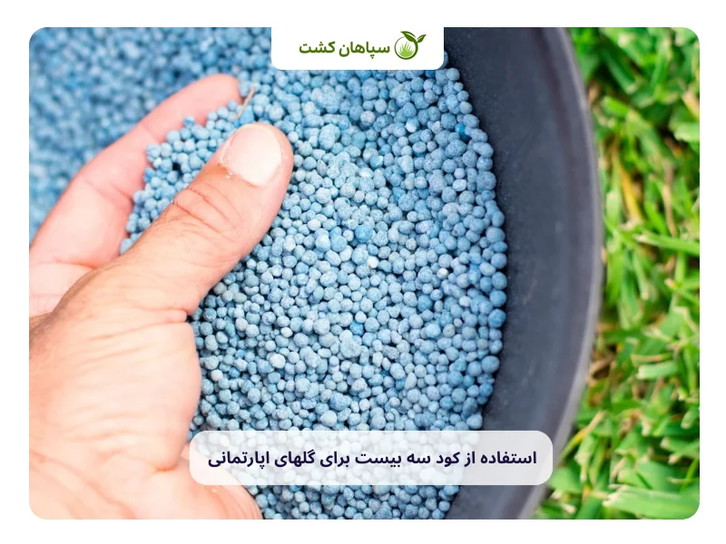 مراحل استفاده از کود سه بیست برای گلهای اپارتمانی