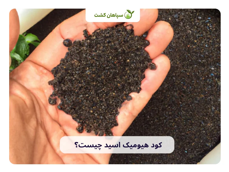 کود هیومیک اسید چیست و چه مزایایی دارد؟