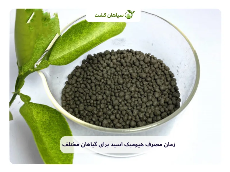 زمان مصرف هیومیک اسید برای گیاهان مختلف