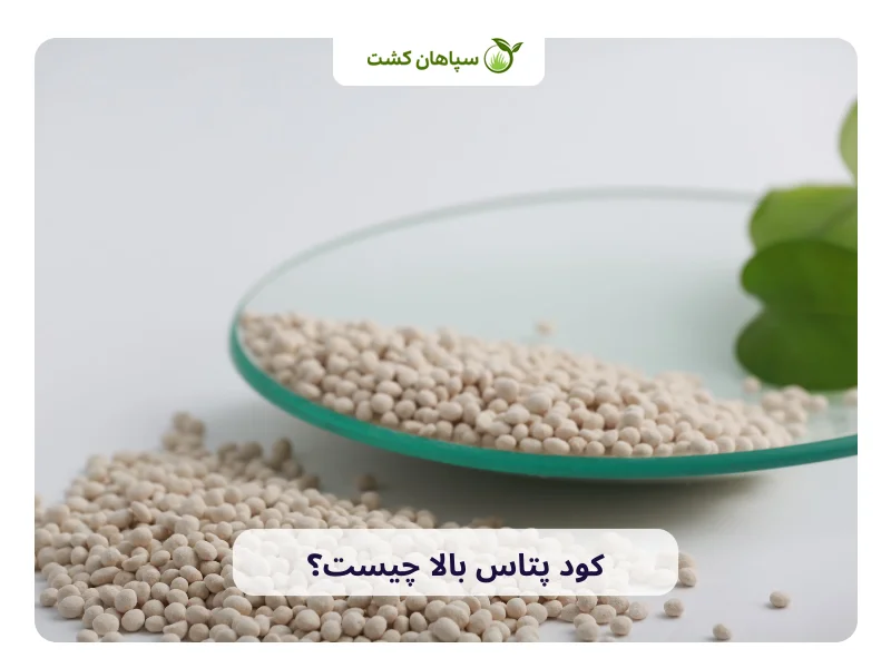 کود پتاس بالا چیست؟