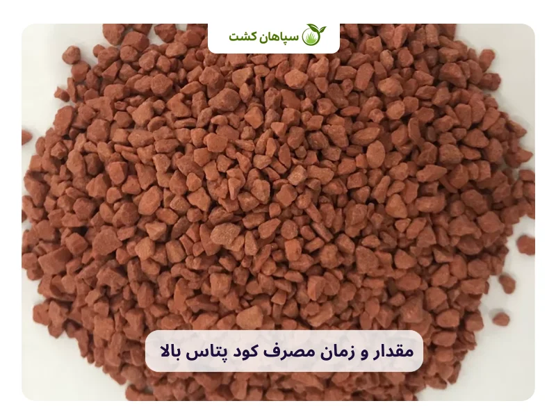 مقدار و زمان مصرف کود پتاس