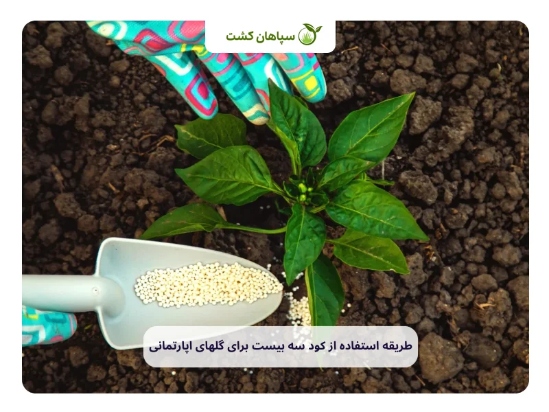 کود سه بیست برای چه گلهایی مناسب است؟ 2 طریقه استفاده از کود سه بیست برای گلهای اپارتمانی