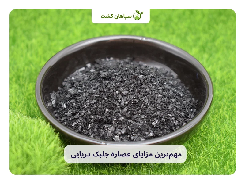 مهم‌ترین مزایای عصاره جلبک دریایی کود