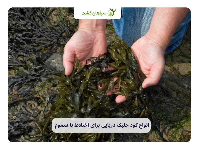 انواع کود جلبک دریایی برای اختلاط با سموم