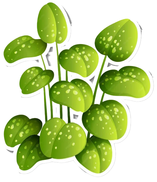 صفحه اصلی 63 صفحه اصلی
