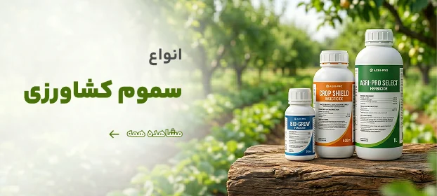 صفحه اصلی