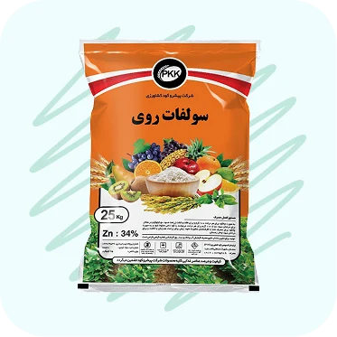 صفحه اصلی