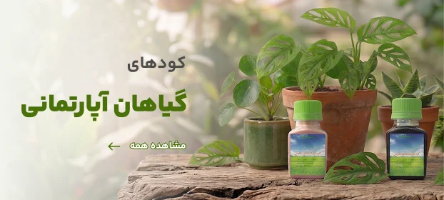 صفحه اصلی